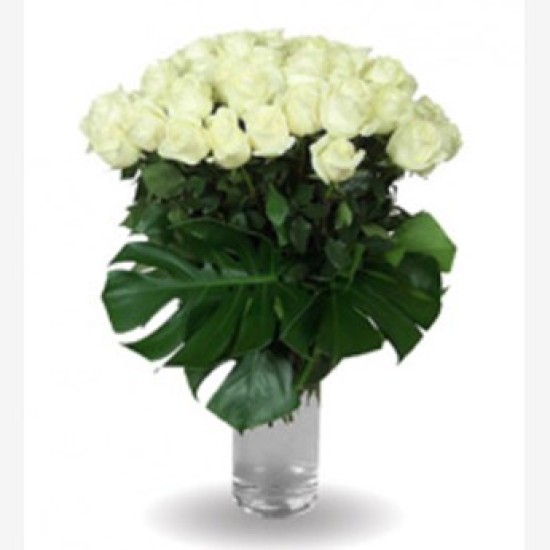 white rose vase 25