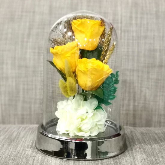 Long Lasting Yellow Roses